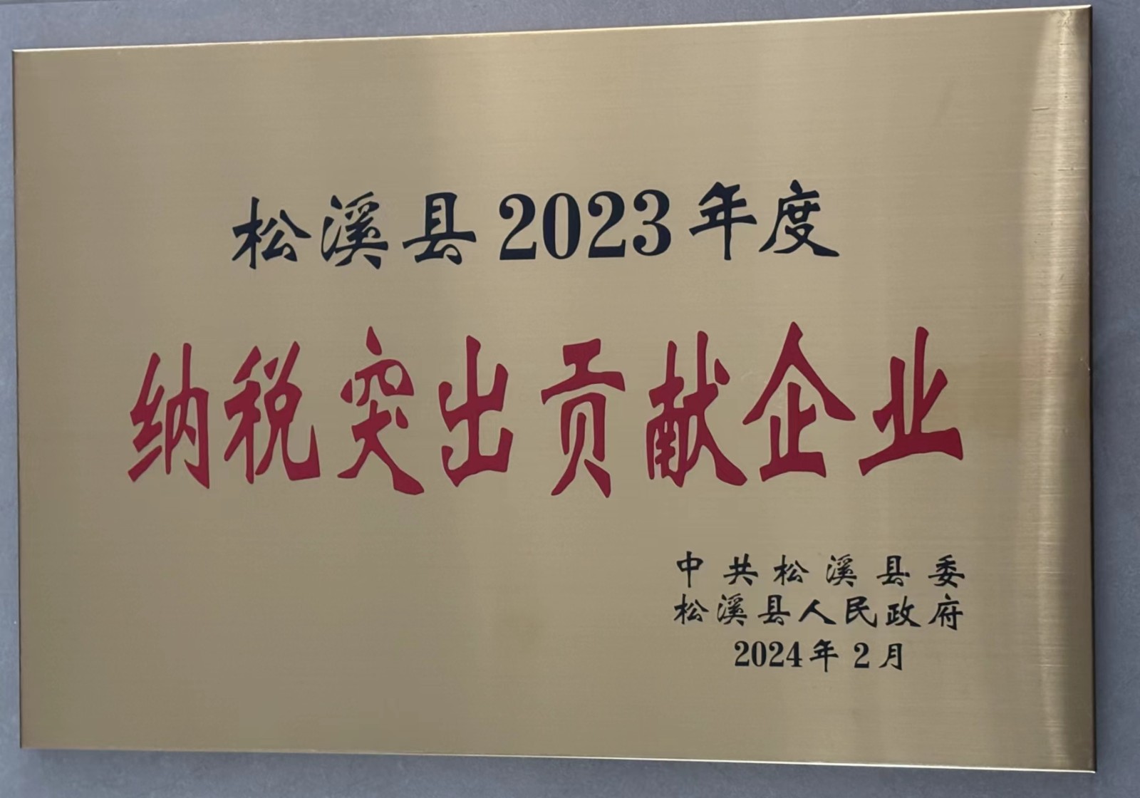 喜報(bào)！易順建工集團(tuán)榮獲“松溪縣2023年度納稅突出貢獻(xiàn)企業(yè)”稱號(hào)