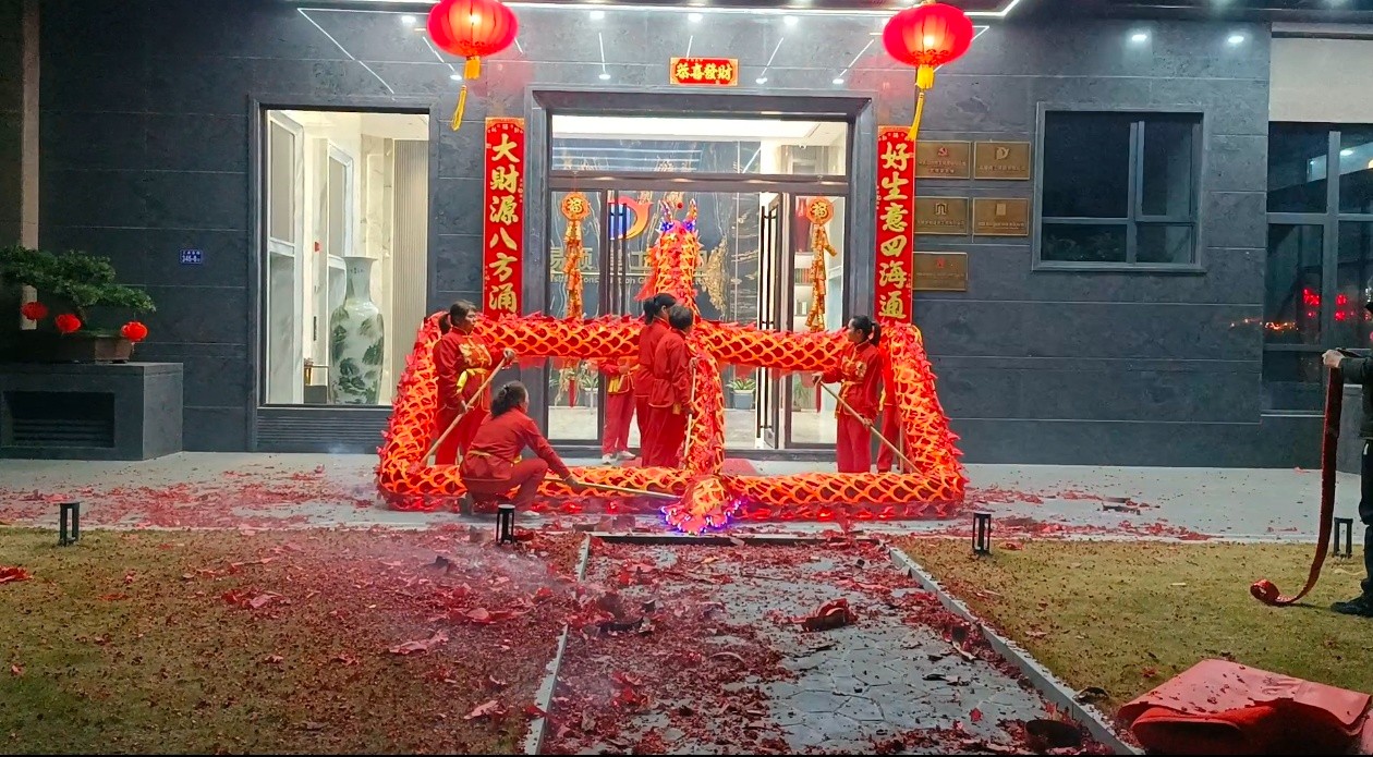 蛇舞新春，龍騰瑞氣